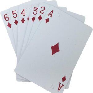 Braille Playing Card