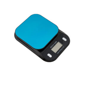 Digital Talking Kitchen Scale