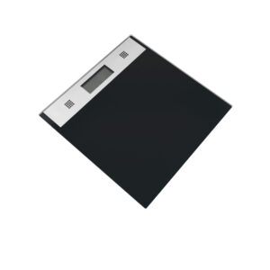 Digital Talking Body Scale